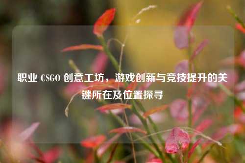 职业 CSGO 创意工坊,游戏创新与竞技提升的关键所在及位置探寻