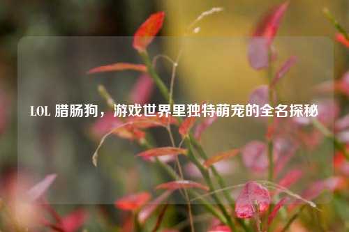 LOL 腊肠狗，游戏世界里独特萌宠的全名探秘