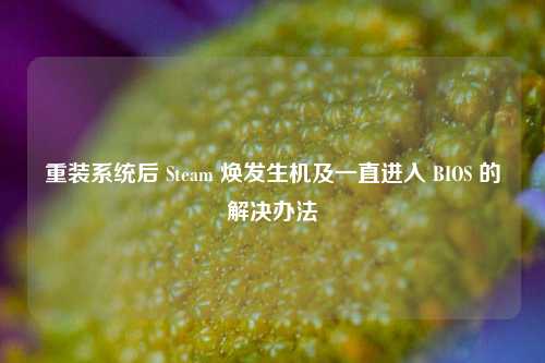 重装系统后 Steam 焕发生机及一直进入 BIOS 的解决办法
