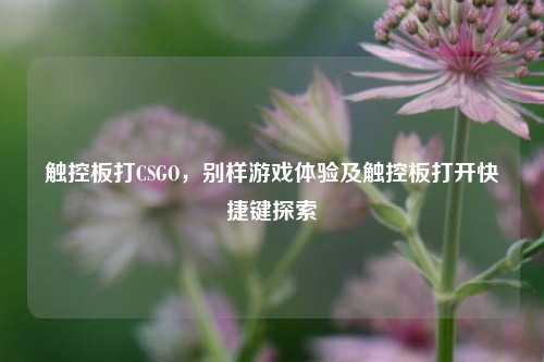 触控板打CSGO，别样游戏体验及触控板打开快捷键探索
