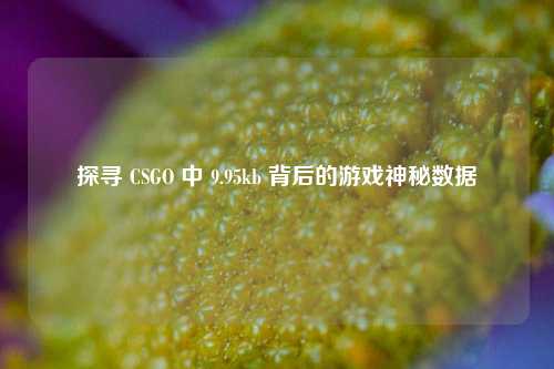 探寻 CSGO 中 9.95kb 背后的游戏神秘数据